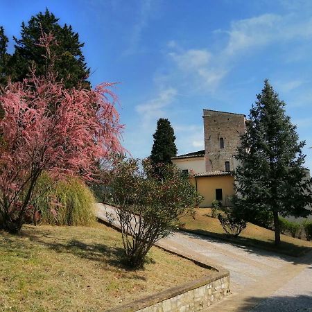 Casa Per Ferie Ulivo D'Assisi Villa Exterior photo